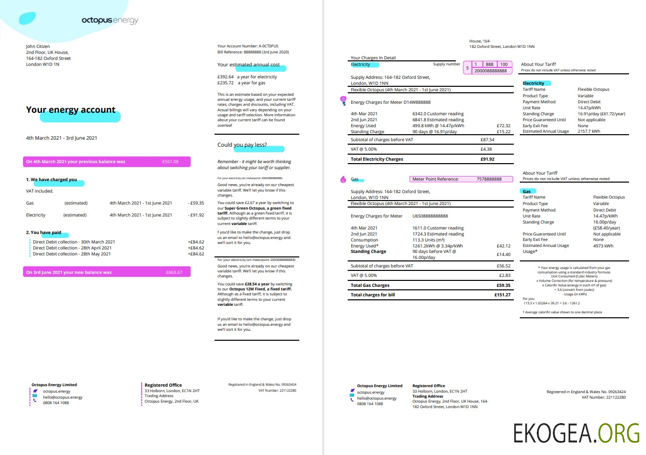 United Kingdom Octopus Energy utility bill template in Word and PDF format, 3 pages 1 2